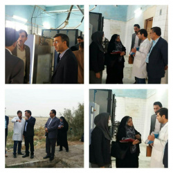 Visit of Health Deputy of Health Ministry of Health and Medical Education and Zabol University of Medical Sciences